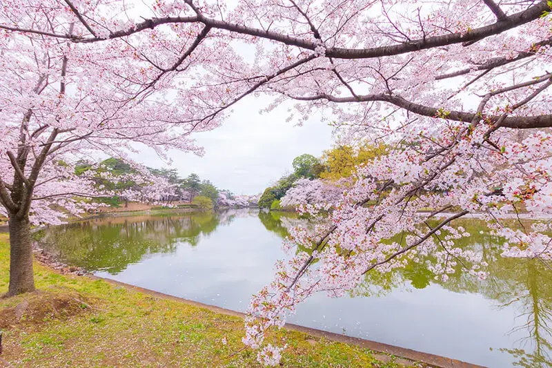 大宮公園